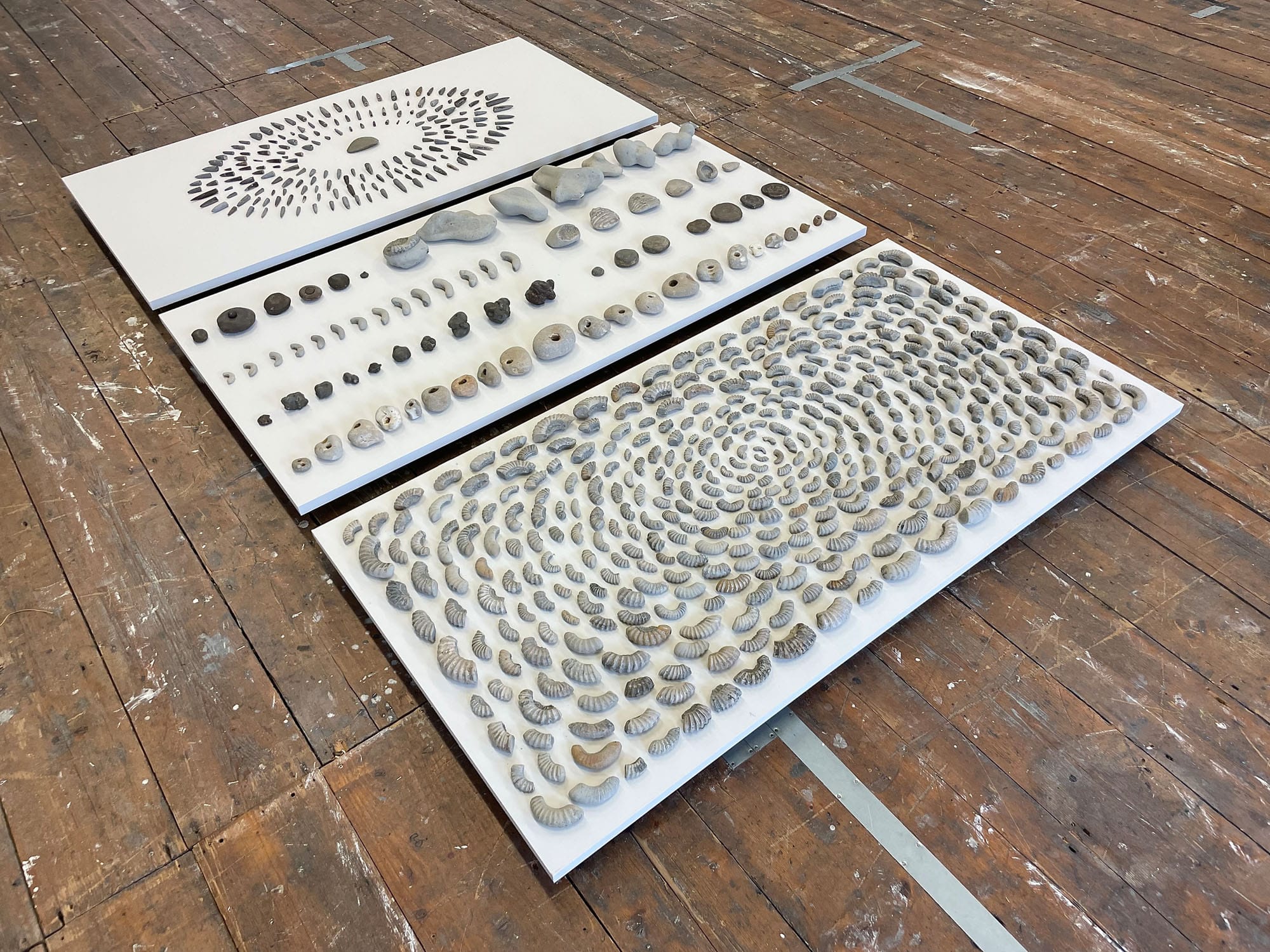 Dorset Pavilion, Bridport Arts Centre